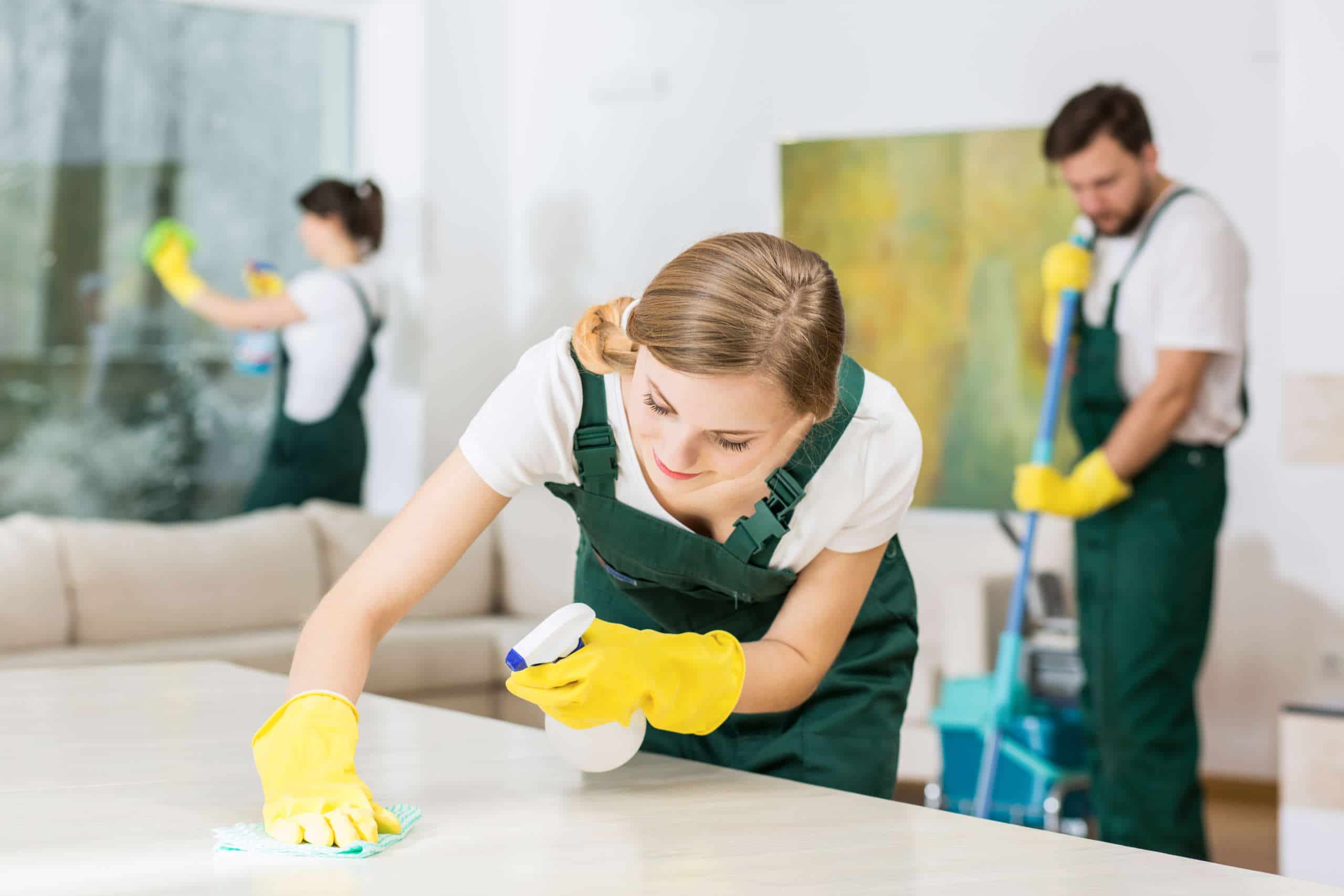 Wohnungsreinigung, Wohnungsreinigung in Wien, professionelle Wohnungsreinigung, professionelle Wohnungsreinigung in Wien,  Wien, Fensterreinigung, Bodenreinigung, Grundreinigung, Teppichreinigung, immer frisch, Reinigung der Wohnung, professionelles Team, Wohlgefühl, sauberer Haushalt, professional apartment cleaning, professional apartment cleaning in Vienna,  cleanliness, hygiene, window cleaning, floor cleaning, basic cleaning, carpet cleaning, cleaning the apartment, professional team, well-being, clean household, household cleaning, Royal Clean Vienna, Royal Clean, Hausreinigung Wien, Fensterreinigung Wien, Fenster Wohnung Reinigen, Fensterreinigung Wohnung, Bodenreinigung Wien, Teppichreinigung